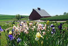 UI Arboretum with Palouse in background.