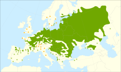 Distribución de Ulmus laevis.