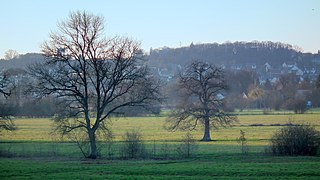 Paysage près du Mans.