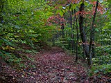 Big Valley Trail on the slopes of Pinnacle Ridge