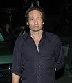 David Duchovny, Fox Mulder, "The Springfield Files"