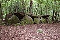 Le dolmen de la Contrie.