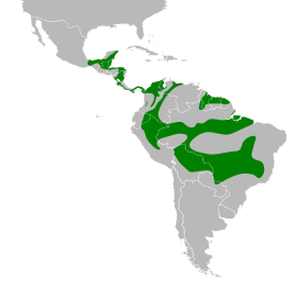 Distribución geográfica de la tangara cabecigrís.