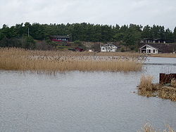 On the coast of Yngsjö