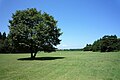 大野台中央にある北欧の杜公園