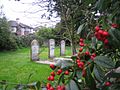 Cimetière juif de Castletroy Limerick (Irlande) où vivait une petite communauté juive (fin du XIXe).