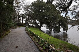 Magnolia Plantation and Gardens