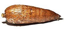 Photograph of oblong brown tuber, waxed