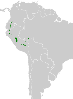 Distribución geográfica del anambé cariamarillo.