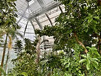 Primary greenhouse roof showing plants and the greenhouse structure.