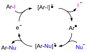 SRN1反応サイクル