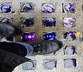 Purple sidewalk jewels