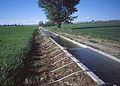 Image 1Surface irrigation system using siphon tubes