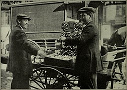 A food pushcart, 1896