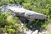 Dolmen de Coste Plane