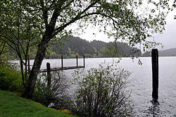 View from the Lane County park at the lake