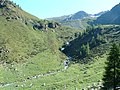 La Val Sambuzza, sullo sfondo, il Pizzo Zerna