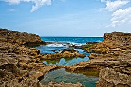 Tide pools located along the limestone rock formations.