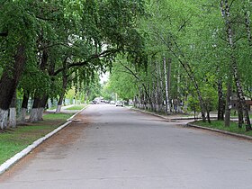 Вулиця Софіївська після перетину з вул. Шевченка в сторону вул. Левка Лук'яненка (ліворуч паркан ЗОШ № 19)