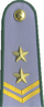 погоны 1973 мпс ссср