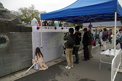 Temporary message board for Grape-kun (14 October 2017)