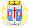 Blason de Thubœuf