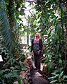 Interior of a greenhouse in The Botanic garden in Lund/Sweden 2007.