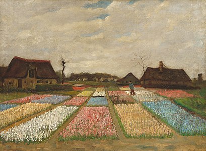 Bulb Fields, by Vincent van Gogh