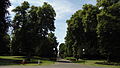 Vue de l'allée du parc.