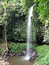 Crystal Falls on Wonga Walk