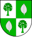 Blason de Buchholz