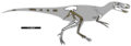 Dryptosaurus.