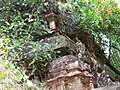 Perumal Kovil Gopuram