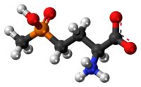 Ball-and-stick model of the glufosinate zwitterion