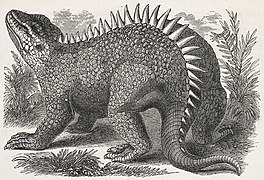 Hylaeosaurus armatus Mantell, 1833