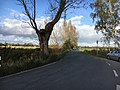 Kanzlershofer Weg, Blick in Richtung Großmoordamm