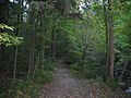 Bruce Trail, King's Forest Park