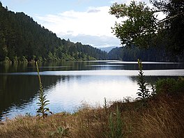 Lakeside view of Lake Matahina