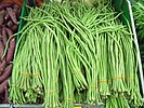 Long Beans (Ilo: Otong or Tlg: Sitaw)