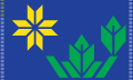 Proposal F1435, which was one of the six finalists from last year's competition to design a new state flag for Minnesota.