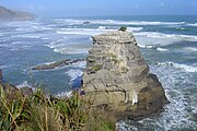 Wild coast and Australasian Gannet colony - Motutara Island