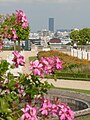 Tour Montparnasse depuis la terrasse des orangers.