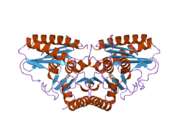 2czh: Crystal structure of human myo-inositol monophosphatase 2 (IMPA2) with phosphate ion (orthorhombic form)