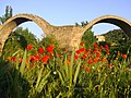 Pont del Diable (Cardona)