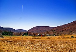 A farm in Roulette Township