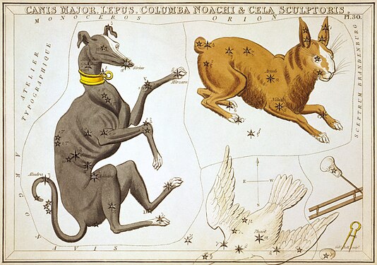 Canis Major, Lepus, Columba Noachi & Cela Sculptoris.