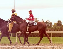racehorse and jockey on track