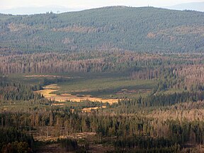 Weitfällerfilz, Blick vom Großen Rachel