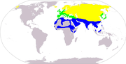 Aire de répartition de la Bergeronnette grise