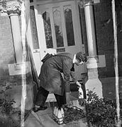 Women deliver the milk in wartime Britain, 1942